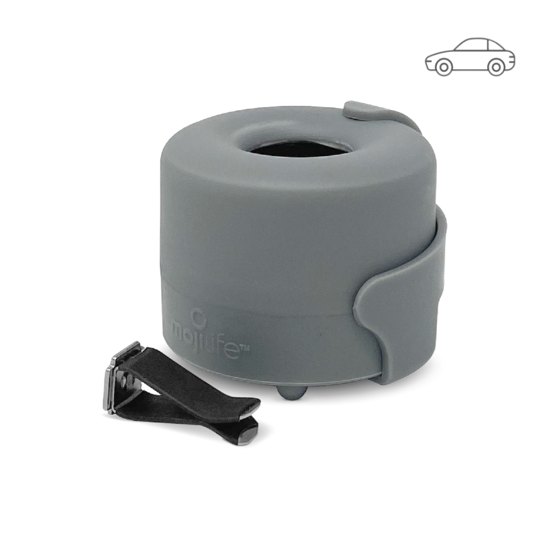 CarMoji Gray web copy 2